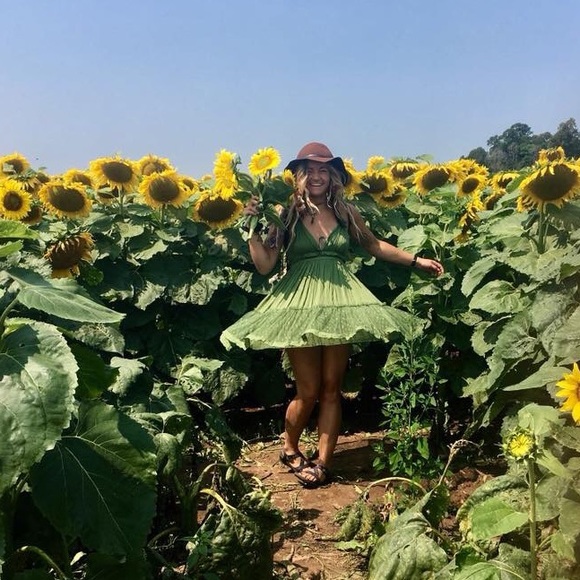 meet your posher, wren - Picture 1 of 1